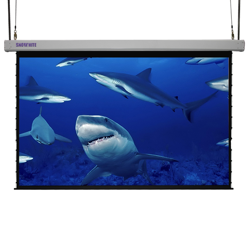 Snowhite Integrated Lifting Motorized Sky Projection Screen